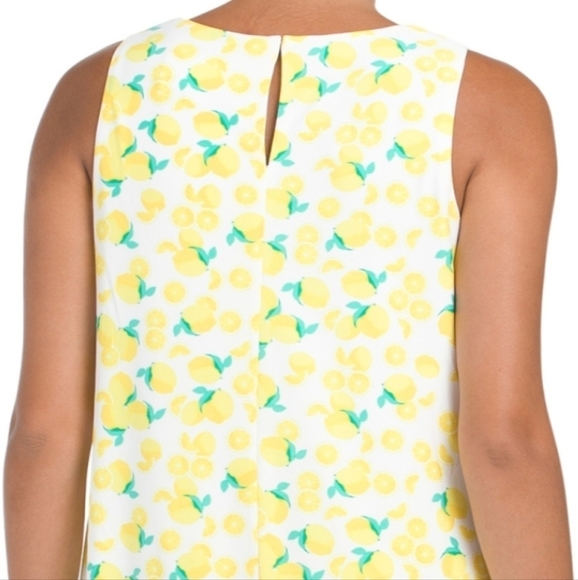 𝅺pappagallo Gwen Fully lined Lemon Print Dress - Picture 5 of 15